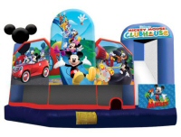 Mickey Mouse Fun Park